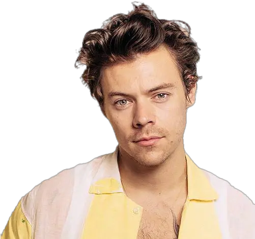 Harry Styles Png Images Harry Styles Png 2020 Harry Styles Png