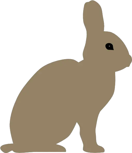 Grey Rabbit Clipart Png Rabbit Drawing Side View Rabbit Clipart Png