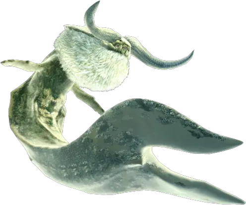 Download Not Strictly A Sea Monster I Suppose But Caedus Is Mh3 Ceadeus Png Sea Monster Png