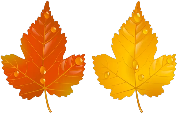 The Fall Png U0026 Free Fallpng Transparent Images 61900 Two Autumn Leaves Fall Png