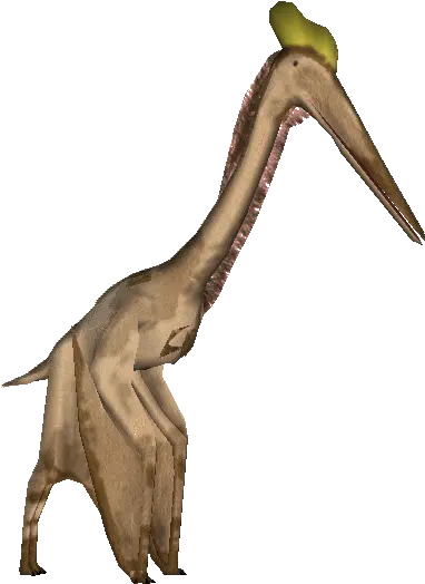 Pterosaurs Png Background Image Zoo Tycoon 2 Quetzalcoatlus Pterodactyl Png