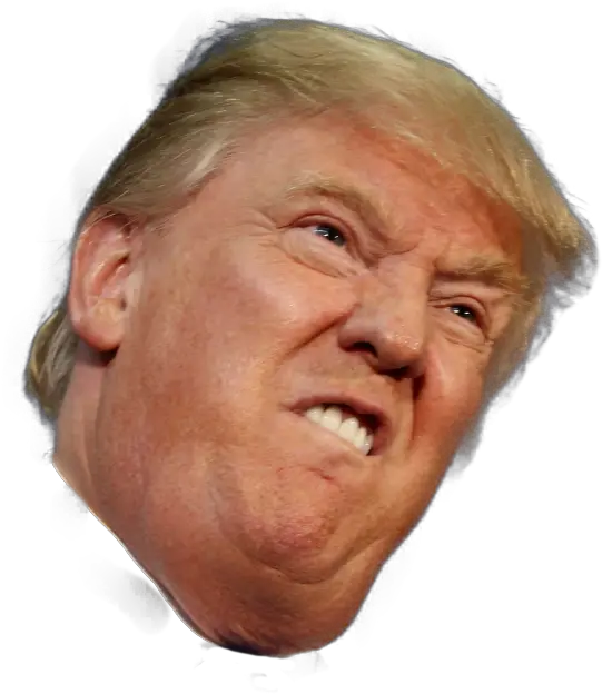 Donald Trump Png Available In Different Donald Trump Funny Face Trump Png