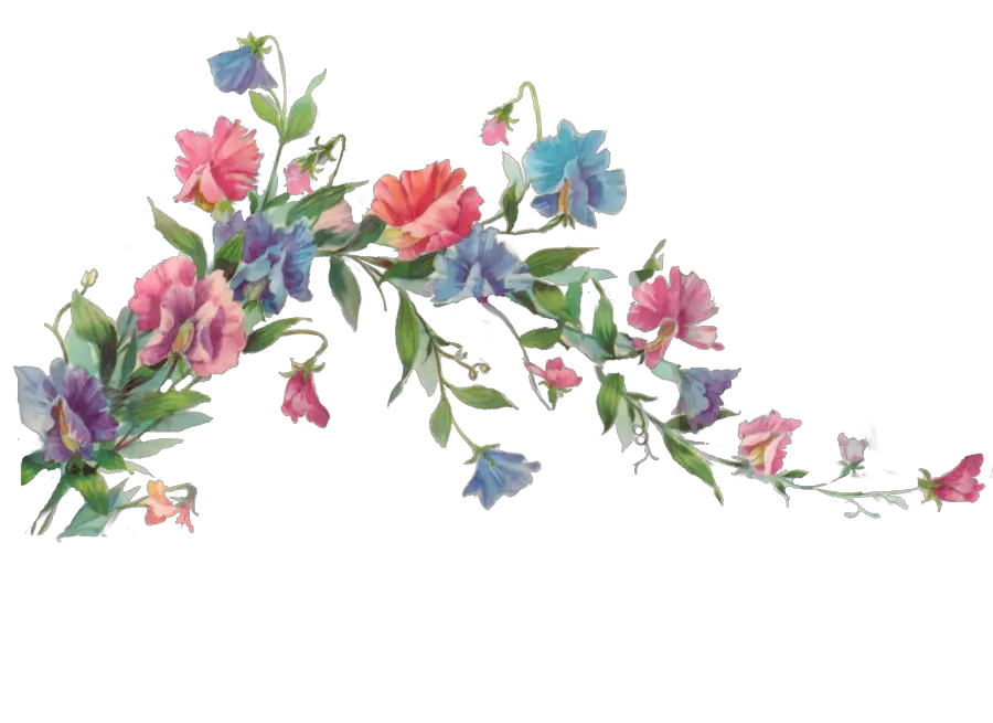 Flowers Png Tumblr Vintage Flowers Tumblr Png Watercolor Transparent Flower Vine Png Wild Flowers Png