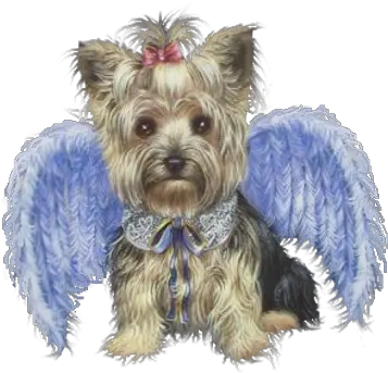 Dog With Angel Wings Dog With Angel Wings Png Angel Wings Png