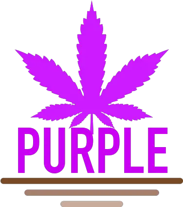 Purple Family Seeds For Sale Green Parrot Pot Leaf Png Purple Parrot Icon