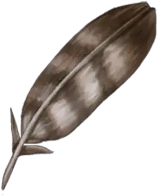 Bird Feather Craftopia Wiki Fandom Sketch Png Feather Icon