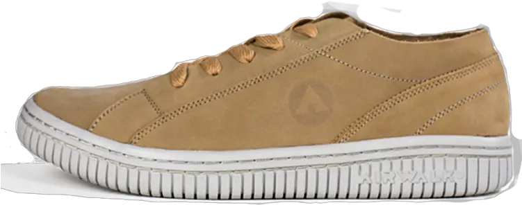 Airwalk Classics U2014 Skate Shoe Png Shoe Png