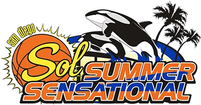 Summersensational San Diego Sol Basketball San Diego Sol Png Shadow The Hegehog Icon