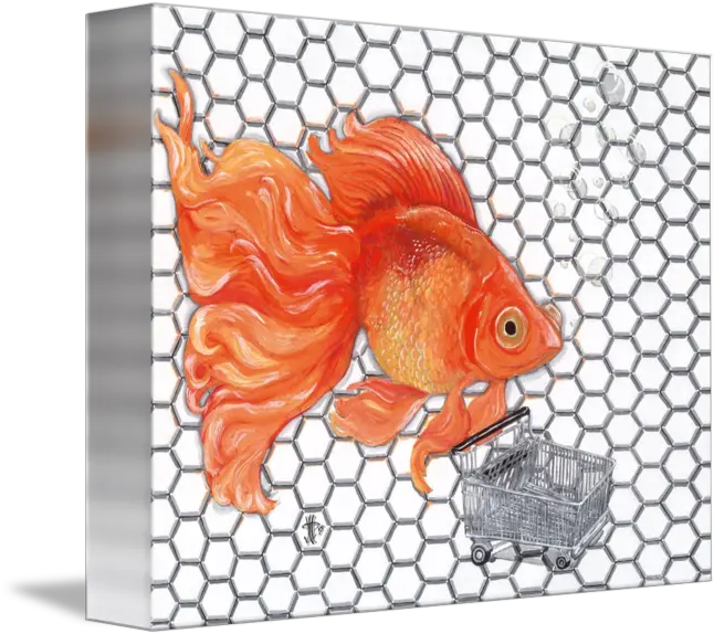 Attention Goldfish Shoppers By Joshua Modlin Goldfish Png Goldfish Transparent