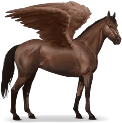 Fullscreen Page Wixtest Cavalo Desenho Marrom Png Pegasus Png