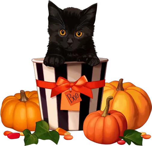 Halloween Time Life And Linda Happy Halloween Cat Animated Png Halloween Cat Png