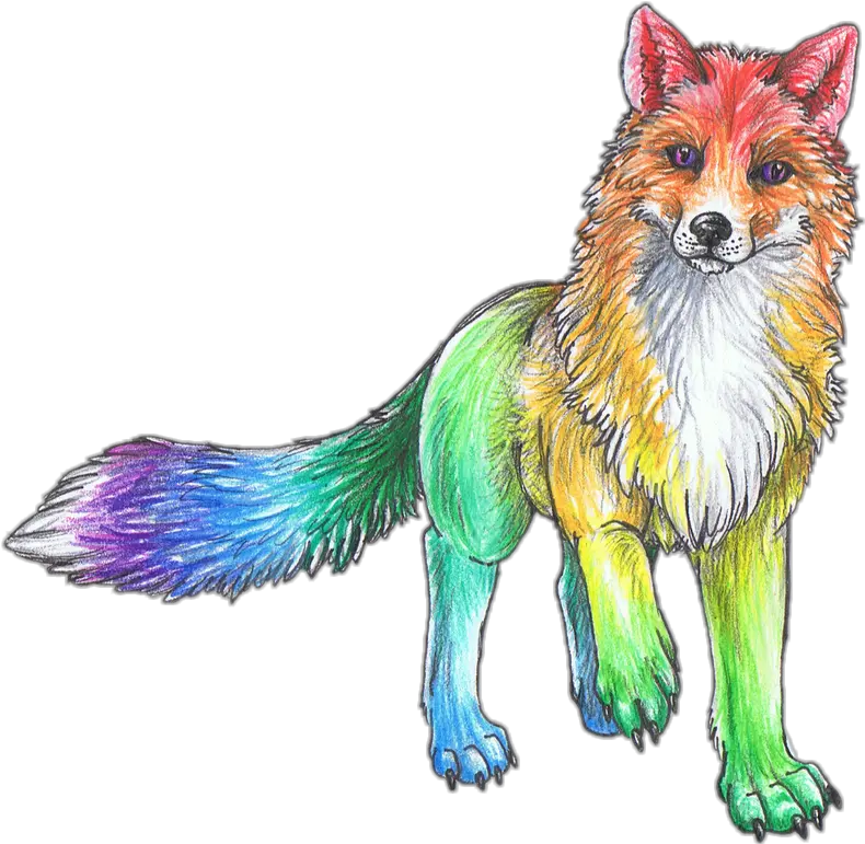 Cute Wolf Cute Animal Drawings Png Cute Animals Png