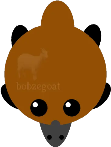 Mopeio Platypus Just Art Cartoon Png Platypus Png