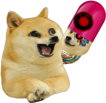 Imgur The Magic Of Internet Kid Doge Png Doge Transparent Background