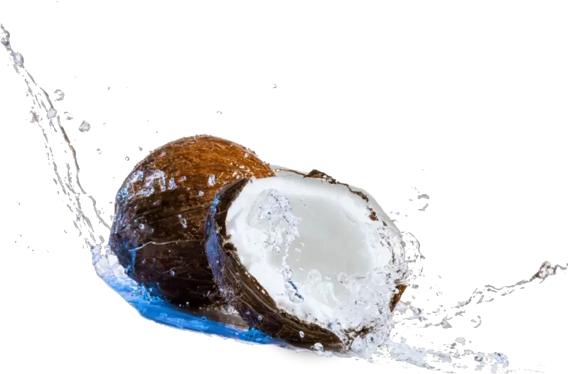 Coconut Water Splash Png Image Background Arts Coconut Day Wishes Coconut Transparent Background