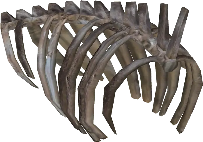 Download Ribcage Dinosaurs Rib Cage Art Png Rib Cage Png