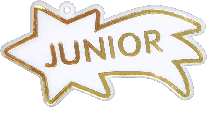 Junior Shooting Star 3 White Gold 12 Pc Pkg Automotive Decal Png Shooting Star Logo