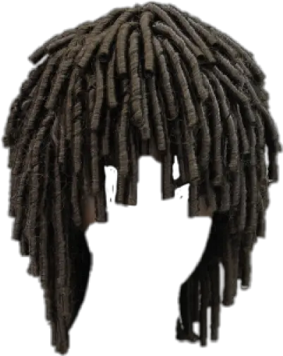 Download Free Png Dreadlocks Dreads Transparent Background Dreads Png