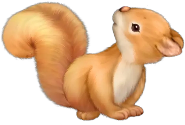 Squirrel Clip Art Freeuse Library Png Cute Squirrel Clipart Squirrel Transparent Background