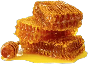 Honeycomb Transparent Png Stickpng Raw Honey Beehive Png