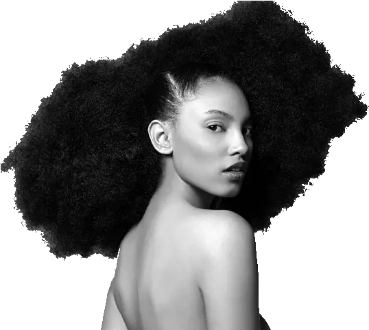 Afro Textured Hair Hairstyle Natural Hair Movement Hair Black People With Beautiful Hair Png Afro Transparent