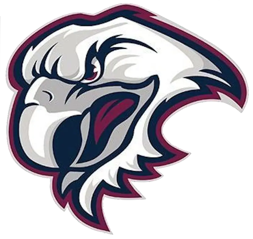 Download Side Decals Eagles Manly Sea Eagles Eagle Png Eagles Logo Png