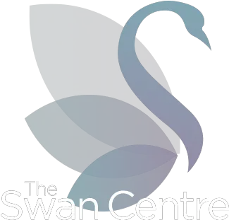 Swan Illustration Png Swan Logo