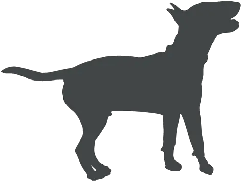 Playing Dog Silhouette Posing Siluetas De Perros Jugando Png Dog Silhouette Png