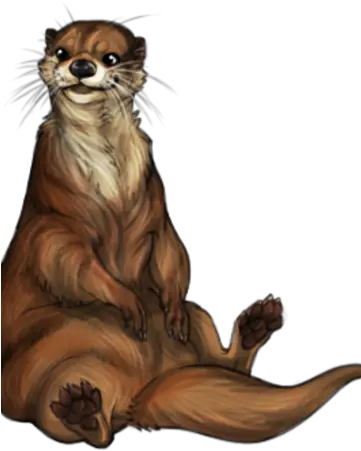 Otter Clanheart Wiki Fandom Ferret Png Otter Png