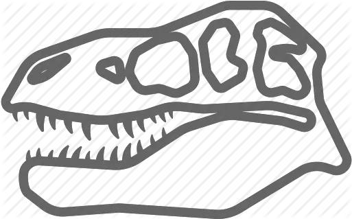 Dinosaur Fossil Head Rex Skeleton T Rex Head Fossil Png Dinosaur Skull Png