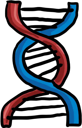 Dna Structure Clipart Transparent Dot Png Dna Transparent