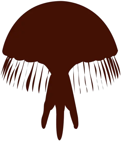 Transparent Png Svg Vector File Graphics Jellyfish Png