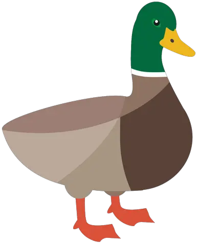 Transparent Png Svg Vector File Mallard Duck Transparent