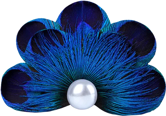 Peacock Feather Pearl Pet Hair Clip Barrette Png Peacock Feather Png