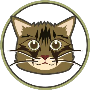 Freja Cat By Caprice Hong Domestic Cat Png Grumpy Cat Icon