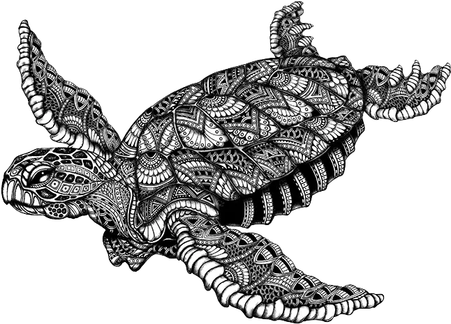 Download Free Png Black U0026 White Sea Turtle With Bandana Black And White Sea Turtle Png Sea Turtle Png