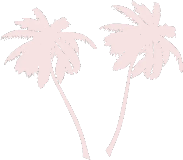 Download Free Png Hd White Palm Tree Outline Transparent Vector White Palm Tree Png Tree Outline Png