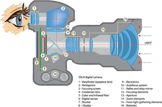 Dslr Vs Mirrorless Cameras Dslr Camera Parts Png Camera Viewfinder Png