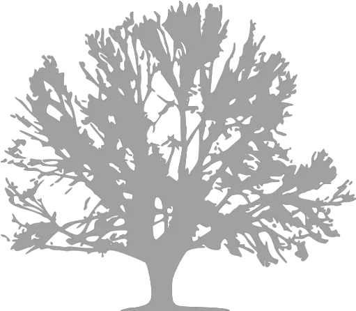 Tree 041 Icons Transparent Tree Icon Png Tree Icon Transparent