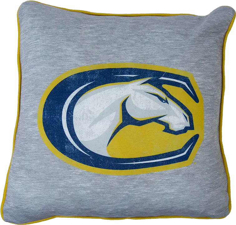 Spirit Pillow 14x14 Uc Davis Stores Uc Davis Png Uc Davis Logo Png