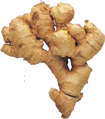 Ginger 100g Greater Galangal Png Ginger Png