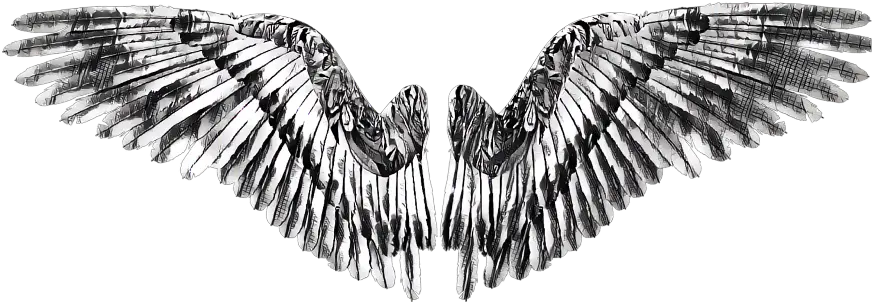 Download Hd Wing Wings Angel Devil Golden Eagle Eagle Png Devil Wings Png