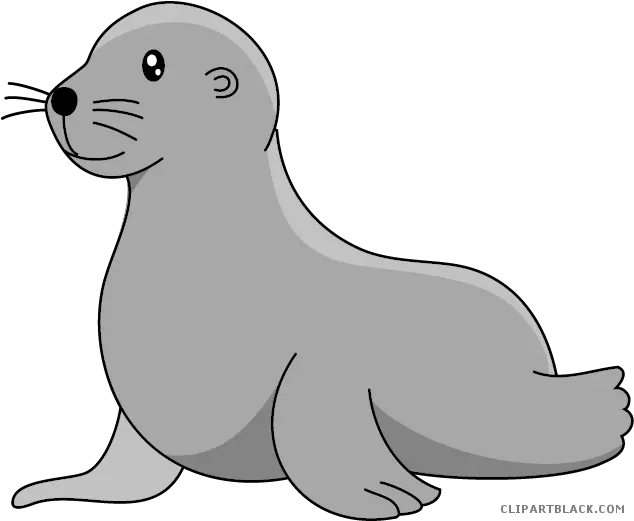 Baby Sea Lion Clip Art Swims Sea Lion Clipart Png Baby Lion Png