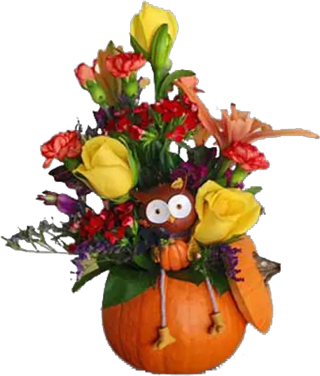 Pumpkin Owl Floral Png Thanksgiving Pumpkin Png