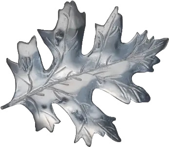 Scarlet Oak Leaf Png