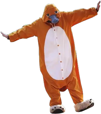 Adults Platypus Onesies Mascot Png Platypus Png