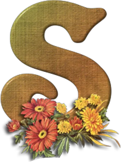 Letter S Png Transparent Images Free Download Real Decorative Letter S Png