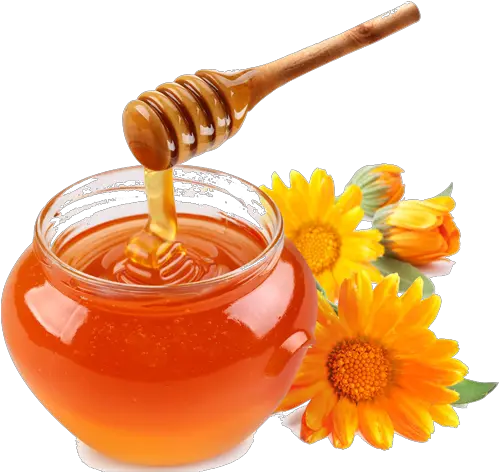 Honey Png Transparent Background Honey Png Honey Png