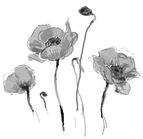 Download Hd Dead Flowers Tumblr Png Dead Flower Tumblr Png Dead Flowers Png