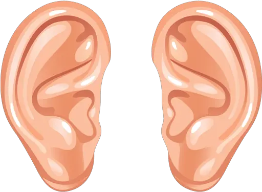 Ear Png Transparent Images Transparent Background Ears Clipart Ear Png